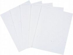 Letter Size White Copy Paper